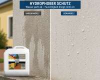 WEPOS Fassaden Reiniger 2,5 Liter