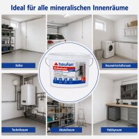 Baufan Kellerfarbe 5 l