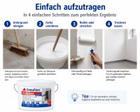 Baufan Kellerfarbe 5 l